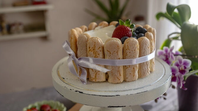 Tiramisu dort s mascarpone krémem zdobený ovocem na bílém podstavci.