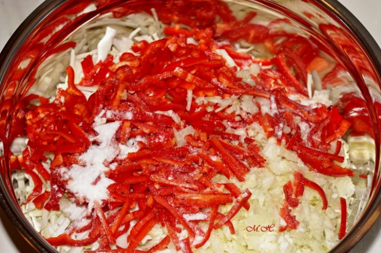 Nakrájená červená paprika a bílá kapusta v míse s solí.