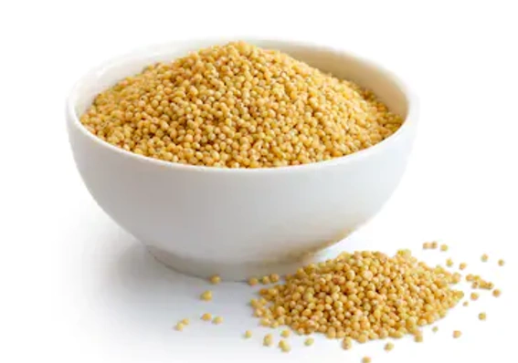 Millet grains in bowl