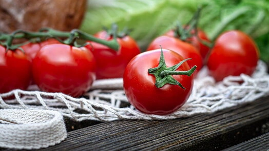 Fresh tomatoes on vine