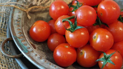 Fresh cherry tomatoes on vine