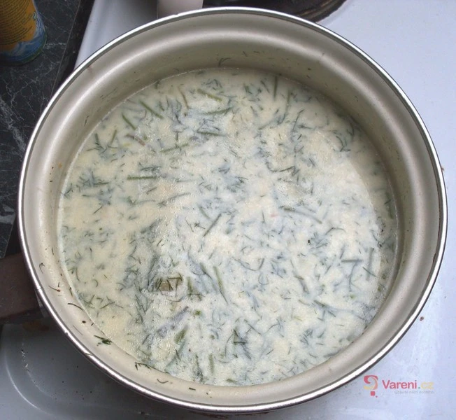 Dill soup in pot