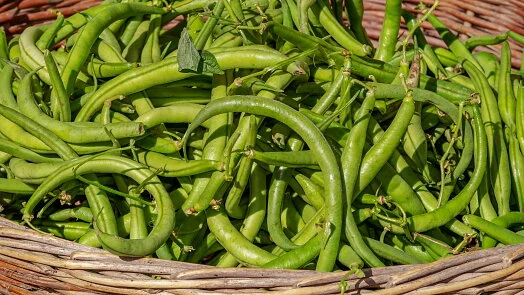 Green beans in basket