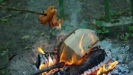 Grilované špekáčky na jehle nad ohněm v přírodě.