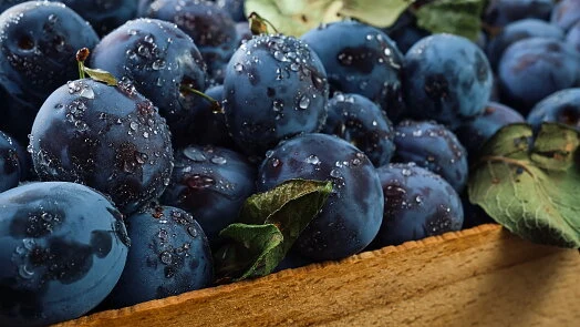 Fresh plums with water droplets